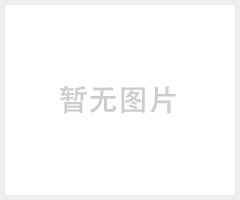 光头强伐木切割锯AETS艾特森AT22高质量汽油锯
